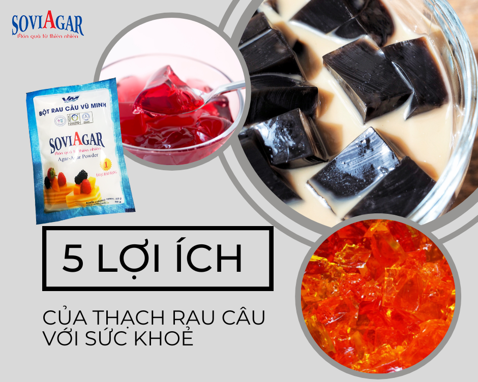 Thạch Rau Câu và Sức Khỏe: Lợi Ích Dinh Dưỡng và Cách Tốt Nhất Để Thưởng Thức