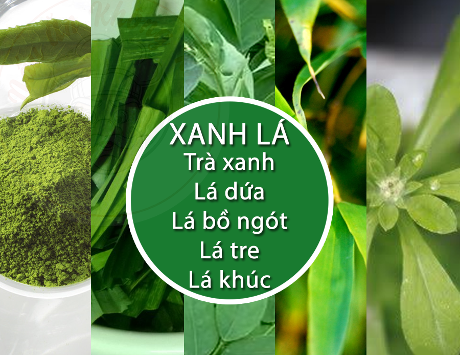 Cách pha màu thực phẩm xanh lá cây từ những nguyên liệu tự nhiên- Agar Việt Nam Vũ Minh