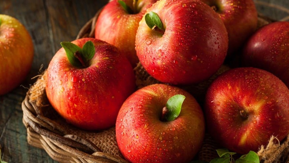 Không cho táo vào tủ lạnh sẽ giữ được độ tươi của táo lâu hơn- Agar Việt Nam Vũ Minh