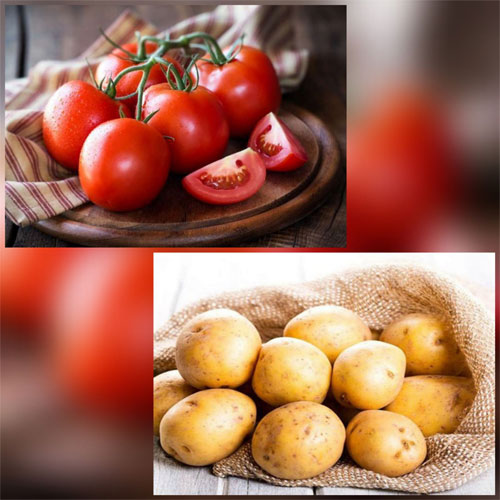 Nhóm thực phẩm kỵ nhau số 16 - Cà chua và khoai lang/khoai tây
