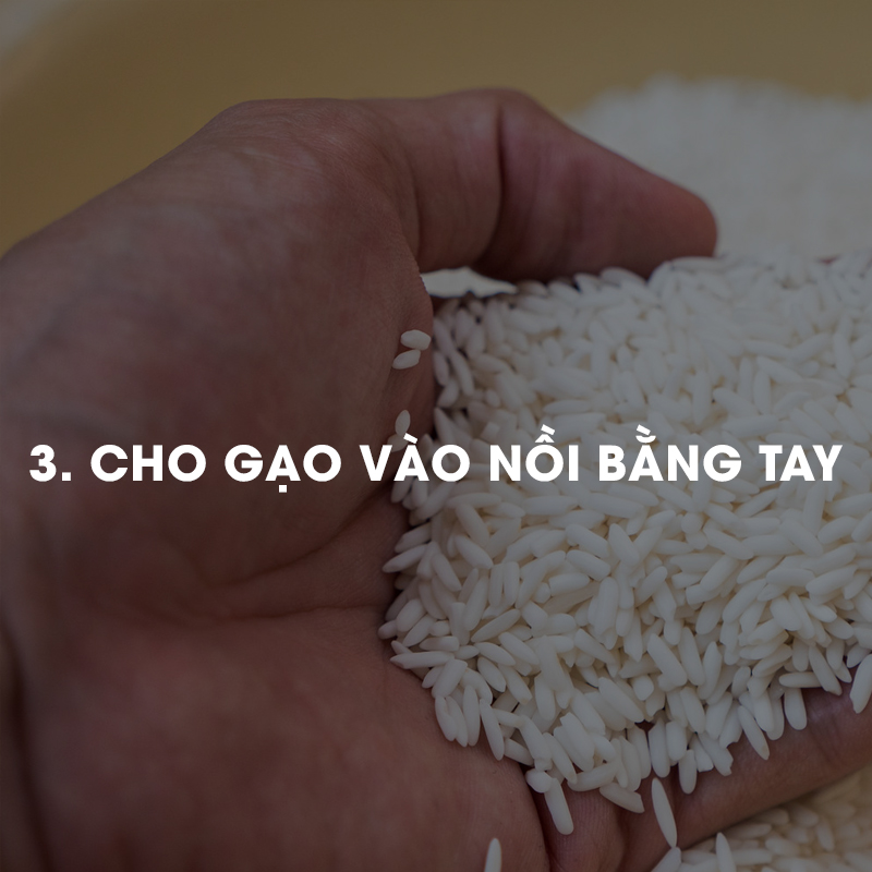 Cho gạo vào nồi bằng tay