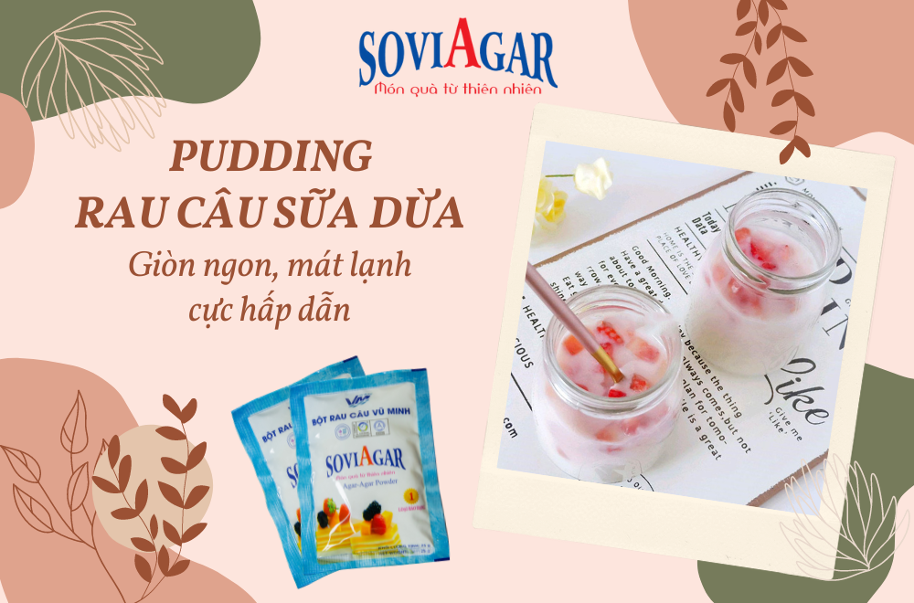 pudding rau câu sữa dừa