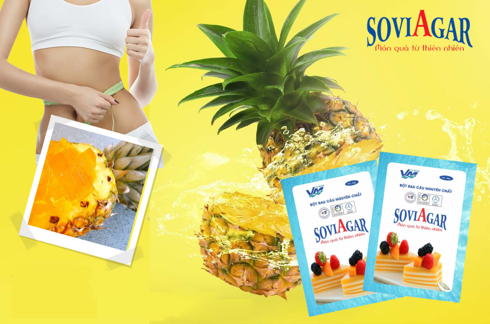 Bột rau câu Vũ Minh SoviAgar cũng là thực phẩm hỗ trợ tốt trong quá trình giảm cân
