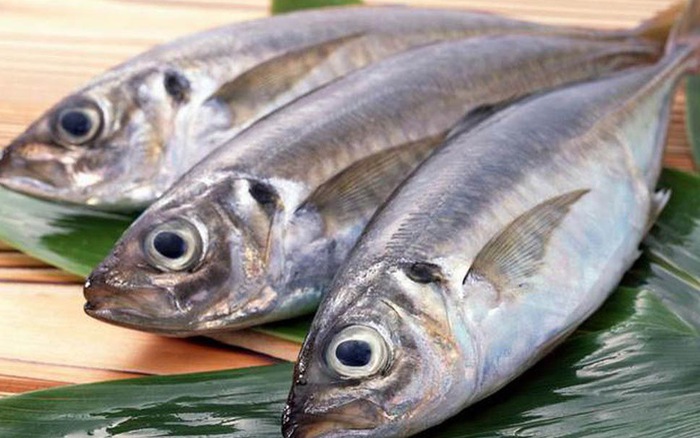 Không nên ăn cá ngừ quá nhiều bởi chứa độc tố thủy ngân khá cao