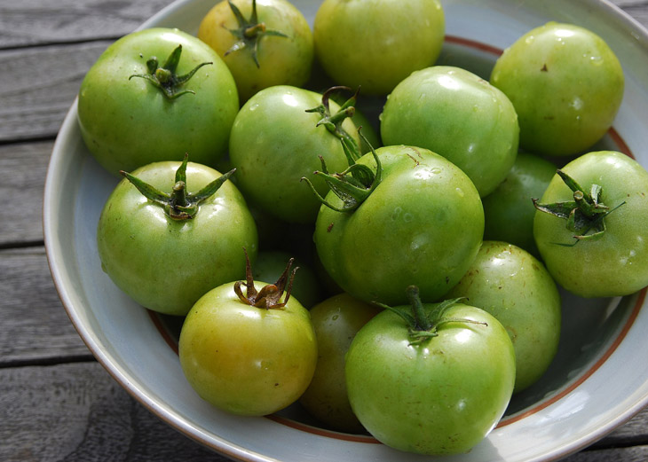 Cà chua xanh gây ảnh hưởng xấu đến dạ dày