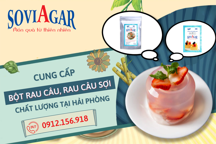 Chuyên cung cấp bột agar, rau câu sợi nguyên chất, chất lượng 