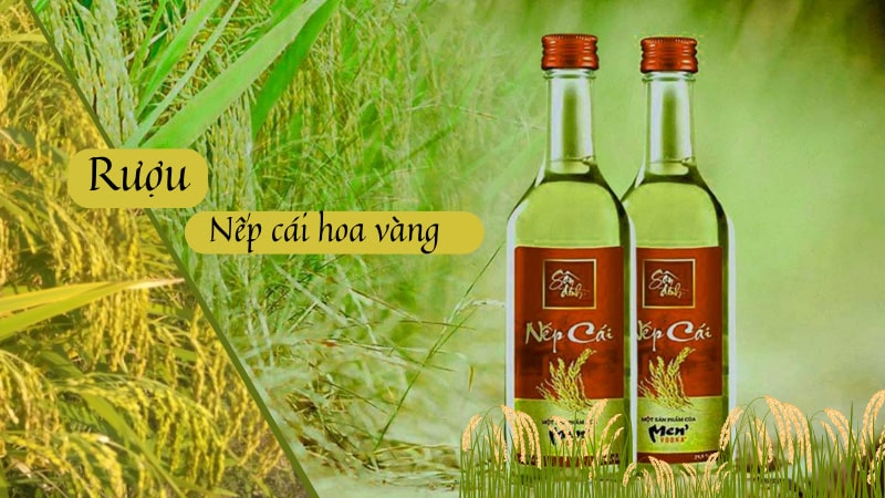 Rượu nếp cái hoa vàng được người sành rượu ưa thích