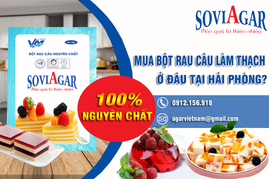 Mua bột làm thạch rau câu ở đâu tại Hải Phòng?