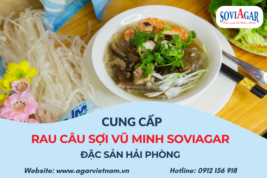 Địa chỉ cung cấp rau câu sợi - đặc sản Hải Phòng số lượng lớn, giá tốt