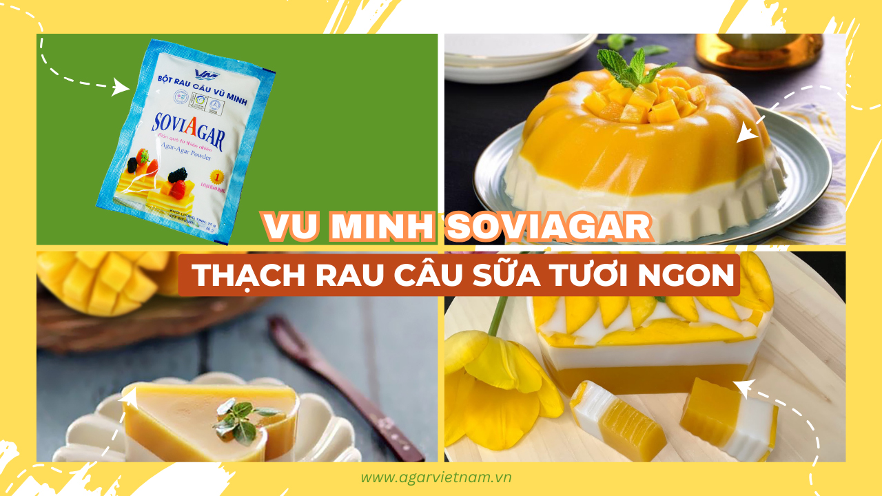  Thạch rau câu xoài sữa tươi ngon bằng máy xay sinh tố đẹp mắt, cực dễ làm