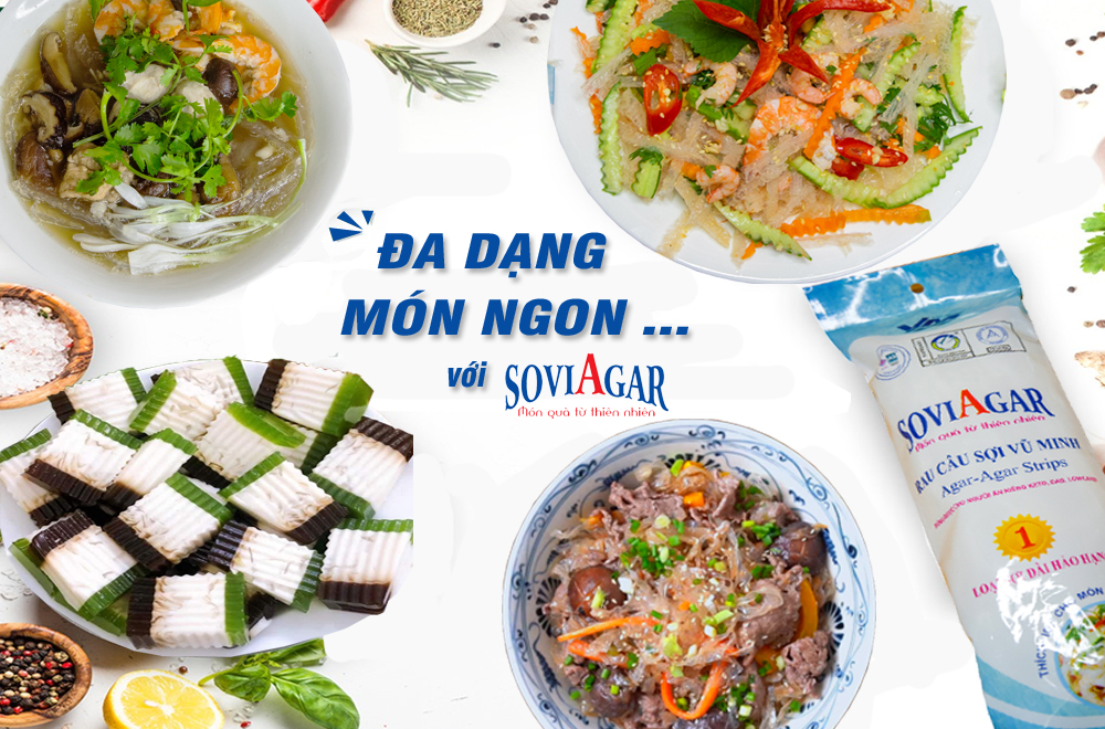 Vũ Minh Soviagar - Rau Câu Sợi Đặc Sản Hải Phòng, Tinh Hoa Từ Thiên Nhiên