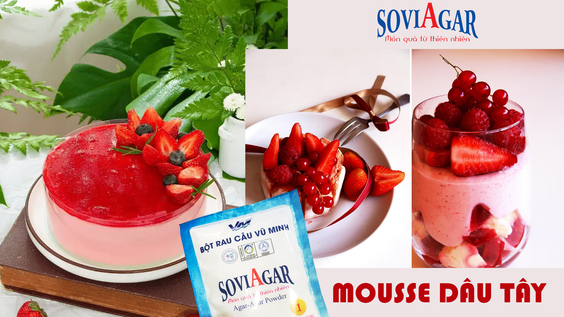 Mousse Dâu Tây Ngon Mê Ly – Mịn Mượt Nhờ Bột Rau Câu Vũ Minh SoviAgar