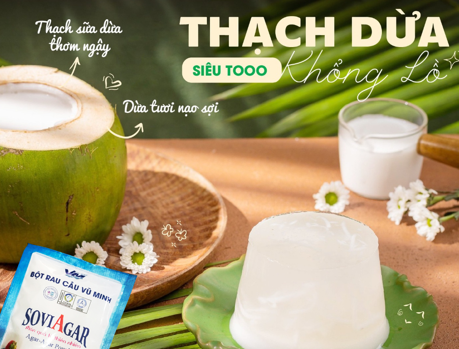  Cảm Nhận Hương Mát Từ Thiên Nhiên – Thạch Dừa Ngon Giòn, Chuẩn Vị Nhà Làm