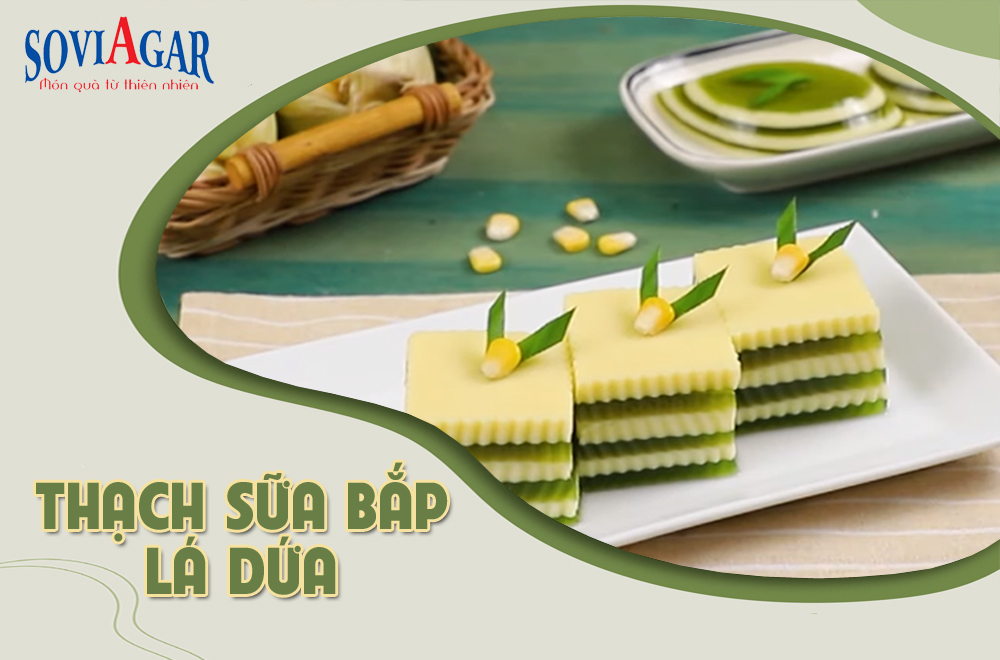 Vũ Minh Soviagar – Bí Quyết Cho Món Thạch Sữa Bắp Lá Dứa Dẻo Ngon, Tự Nhiên