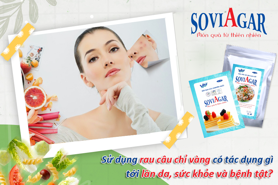 Giải Nhiệt – Đẹp Da – Giữ Dáng: Tất Cả Có Trong Rau Câu Soviagar