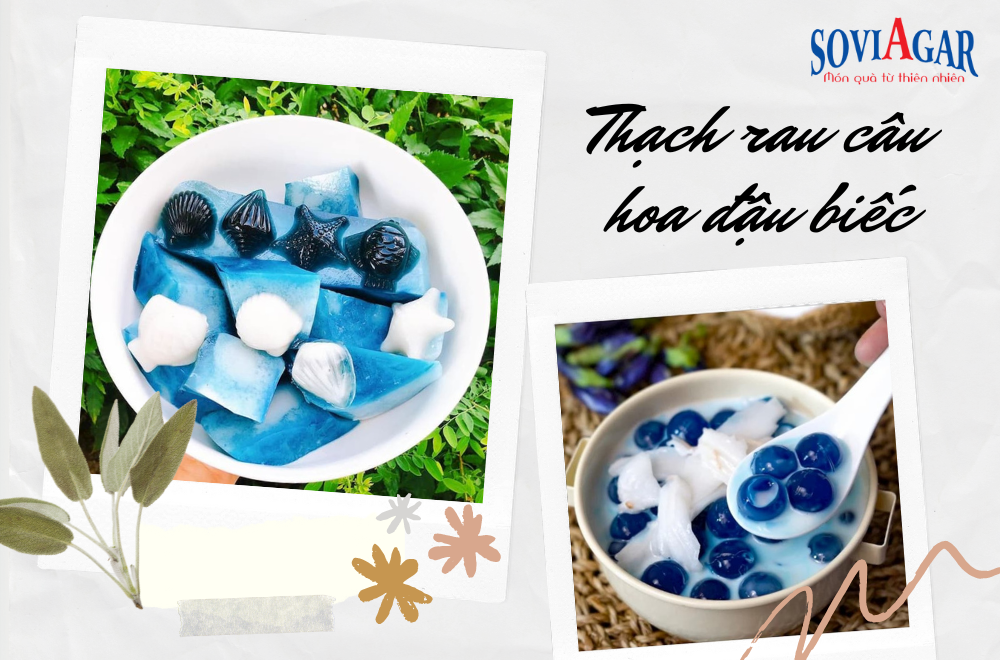 Thạch Hoa Đậu Biếc Có Gì Mà Khiến Chị Em Mê Mẩn Đến Vậy?