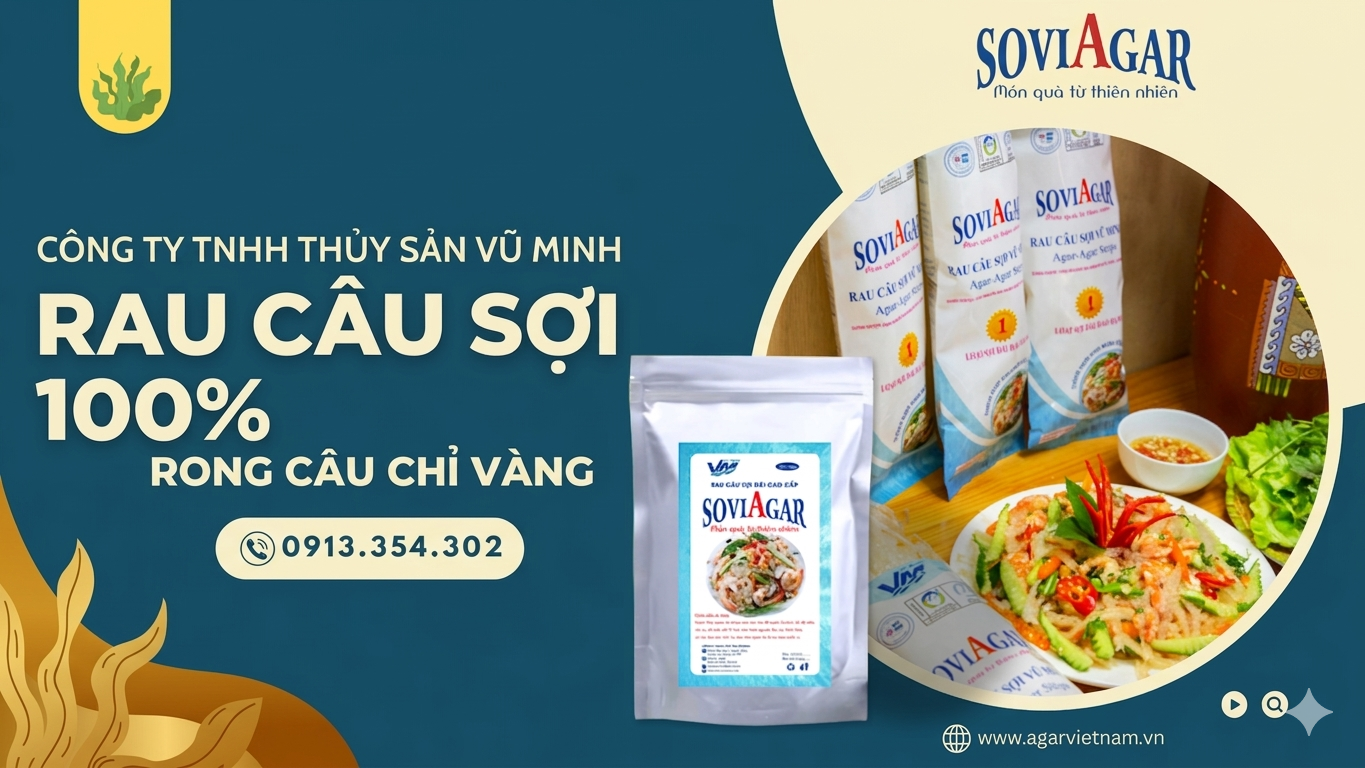 Rau Câu Sợi 100% Rong Câu Chỉ Vàng – Giải Pháp Thực Phẩm Ngon, Giòn, Tốt Cho Sức Khỏe
