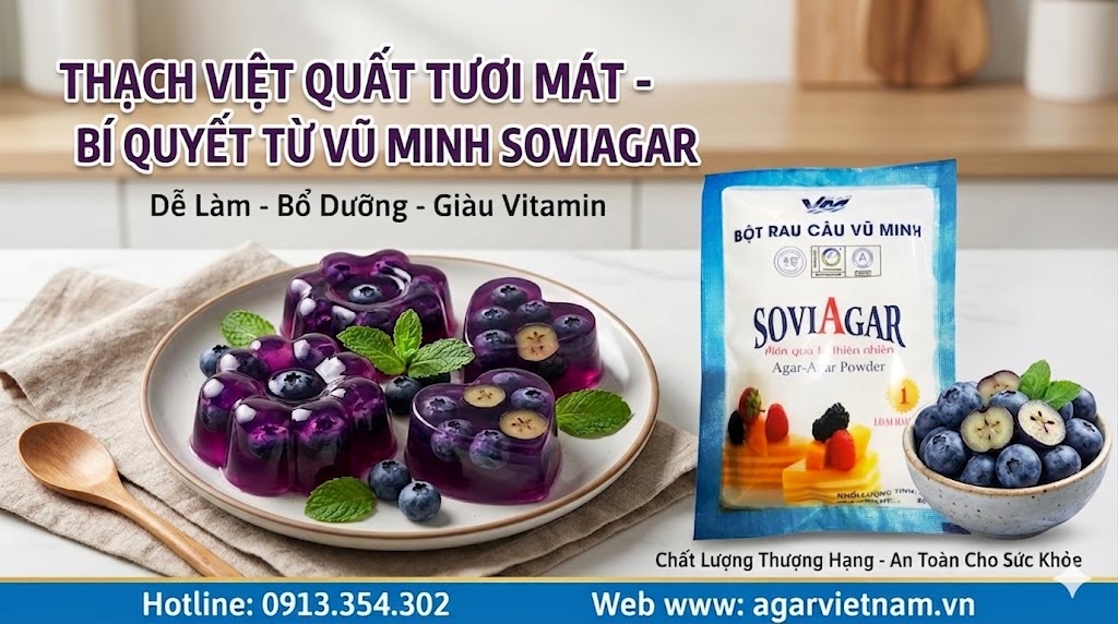 Thạch trái cây việt quất từ bột rau câu vũ minh soviagar – món tráng miệng giải nhiệt, ngon mát