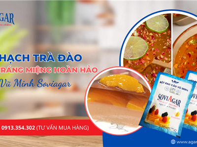 Thạch Trà Đào Nhà Làm – Bí Kíp Cho Món Tráng Miệng Hoàn Hảo