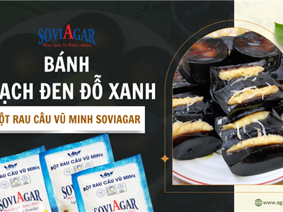 Gợi ý: Cách Làm Bánh Thạch Đen Nhân Đỗ Xanh Siêu Hot Hit