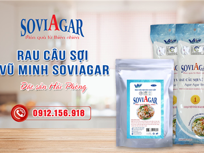 Rau Câu Sợi Vũ Minh – Đặc Sản Hải Phòng, Thơm Ngon, Chất Lượng