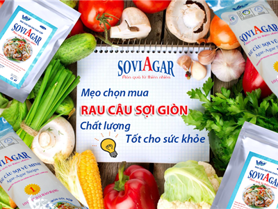 Cách Chọn Rau Câu Sợi Vũ Minh SoviAgar Giòn Ngon Chuẩn Vị