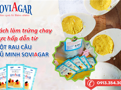Trứng Chay Cực Bắt Mắt Từ Bột Rau Câu Vũ Minh Soviagar – Món Ăn Đẹp Từ Tâm