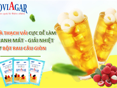 Trà Thạch Vải Mát Lạnh – Thanh Ngon Từ Bột Rau Câu Vũ Minh SoviAgar