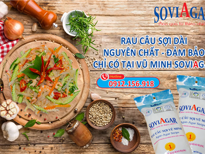 Nộm Rau Câu Sợi Vũ Minh Soviagar – Món Chay Mát Lành, Giòn Sựt Từng Sợi