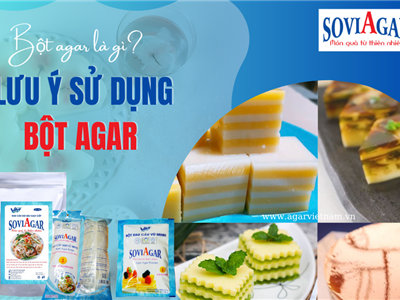 Khám Phá Công Dụng Của Bột Agar – “Trợ Thủ” Đắc Lực Trong Gian Bếp