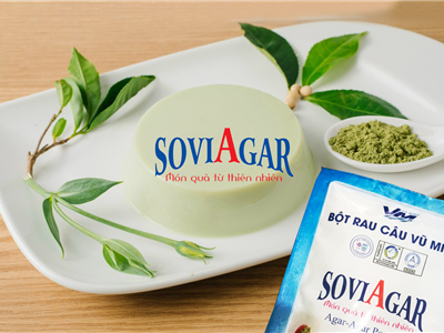 TÀU HŨ MATCHA SỮA BLENDY – MÁT LẠNH TAN CHẢY TỪNG MUỖNG