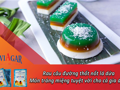 Rau Câu Đường Thốt Nốt Lá Dứa – Hương Vị Ngọt Dịu Từ Thiên Nhiên