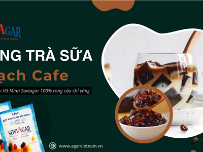 Hồng Trà Sữa Thạch Cafe – Thức Uống Thơm Ngon Gây Nghiện