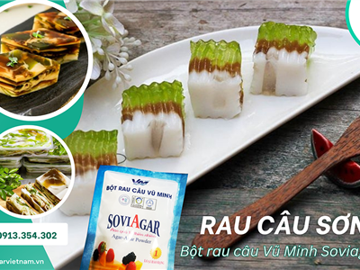 Bí Kíp Kinh Doanh Thành Công Với Rau Câu Sơn Thuỷ Nghệ Thuật – Cùng Bột Rau Câu Vũ Minh Soviagar