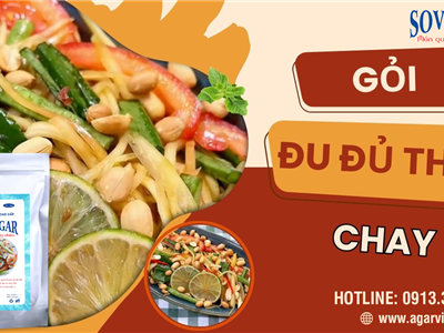 Gỏi Đu Đủ Thái Chua Cay Chay – Ngon Lành, Thanh Mát cùng Rau Câu Sợi Vũ Minh