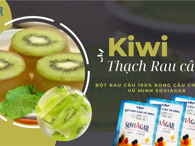 CÁCH LÀM THẠCH RAU CÂU KIWI NGON – THANH MÁT CÙNG BỘT RAU CÂU VŨ MINH SOVIAGAR