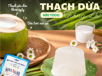  Cảm Nhận Hương Mát Từ Thiên Nhiên – Thạch Dừa Ngon Giòn, Chuẩn Vị Nhà Làm