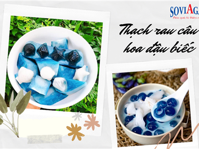 Thạch Hoa Đậu Biếc Có Gì Mà Khiến Chị Em Mê Mẩn Đến Vậy?