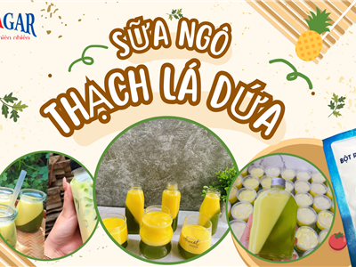 Sữa Ngô Thạch Lá Dứa Từ Bột Rau Câu Vũ Minh Soviagar – Thức Uống Thơm Ngon, Thanh Mát