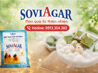 Chè Thạch Matcha Trân Châu Trắng Thơm Mát Từ Bột Rau Câu Vũ Minh SoviAgar