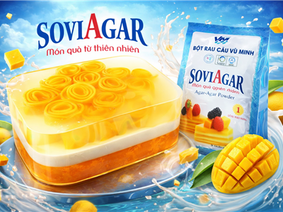 Thạch Rau Câu Xoài Phong Cách 3D Từ Bột Rau Câu Vũ Minh SoviAgar – Món Tráng Miệng Đẹp Mắt, Thanh Mát