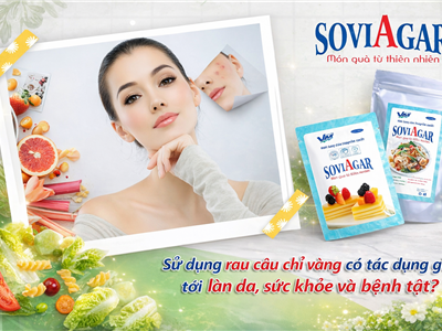 Rau Câu Vũ Minh SoviAgar – Giải Nhiệt, Đẹp Da, Giữ Dáng Cho Chị Em Phụ Nữ