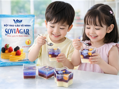 Gợi Ý Món Thạch Ngon Bổ Dương Từ Bột Rau Câu Vũ Minh Soviagar Cho Bé Yêu