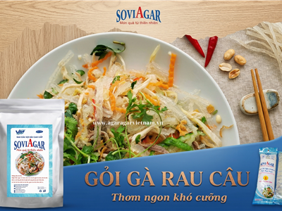 Gỏi Gà Rau Câu Sợi Vũ Minh Soviagar – Món Ngon Thanh Mát, Lạ Miệng Dễ Làm Tại Nhà