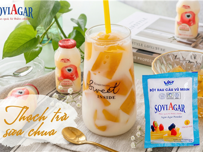 Làm Thạch Trà Sữa Chua Từ Bột Rau Câu Vũ Minh Soviagar – Công Thức Đơn Giản, Ngon Mát