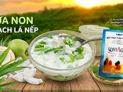 Dừa Non Thạch Lá Nếp Từ Bột Rau Câu Vũ Minh SoviAgar – Món Tráng Miệng Mát Lạnh