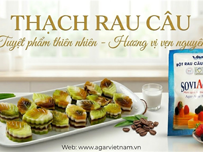 Bí Kíp Tạo Nên Các Món Thạch Rau Câu Giòn Ngon Với Bột Rau Câu Vũ Minh SoviAgar