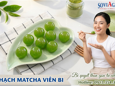 Thạch Matcha Viên Bi Nhật Bản – Món Tráng Miệng Thanh Mát Hot Được Yêu Thích