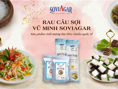 Tuyệt Chiêu Đánh Bay Nắng Nóng Với Các Món Ngon Từ Rau Câu Sợi Vũ Minh SoviAgar 