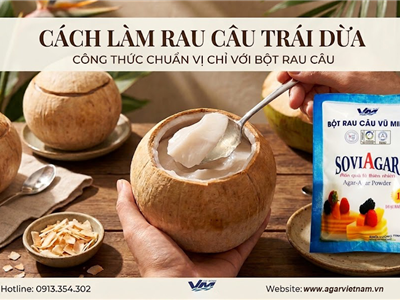 Cách Làm Rau Câu Trái Dừa Thơm Ngon, Mát Lạnh Tại Nhà Với Bột Rau Câu Vũ Minh SoviAgar